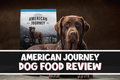 American Journey Dog food Review