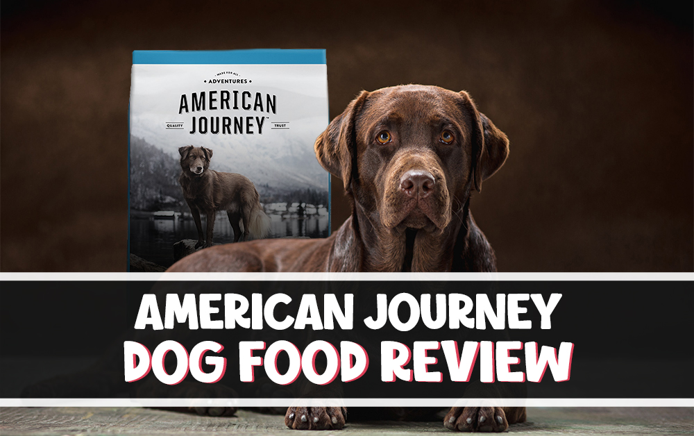 American Journey Dog food Review