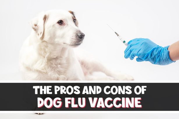 The Pros and Cons of Dog Flu Vaccine