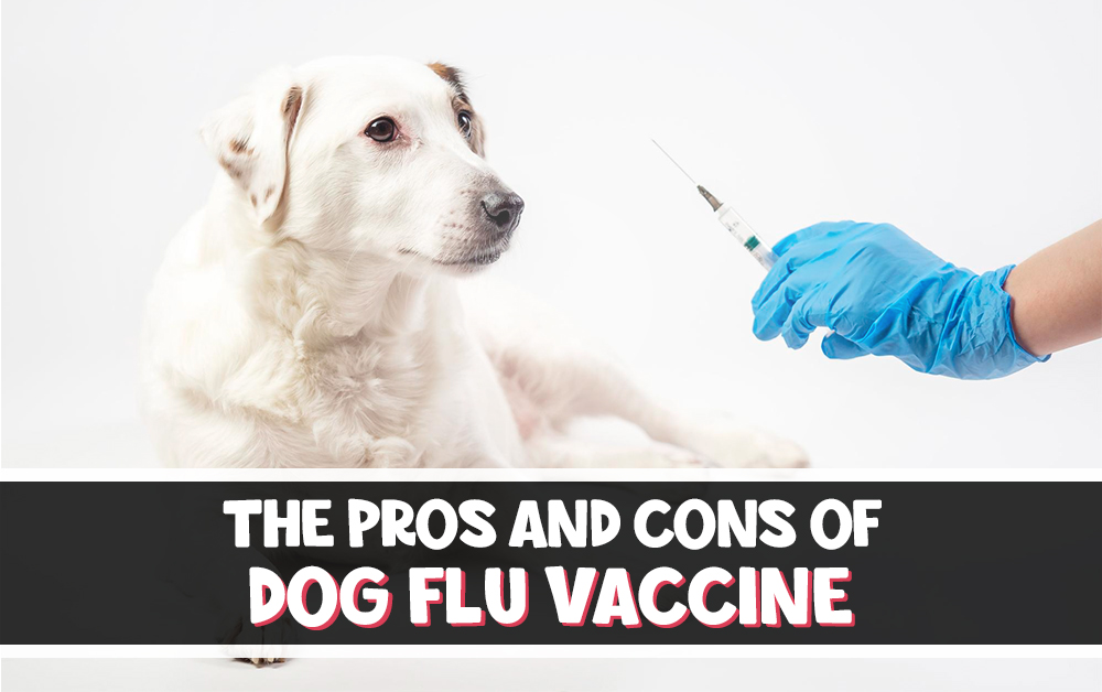The Pros and Cons of Dog Flu Vaccine