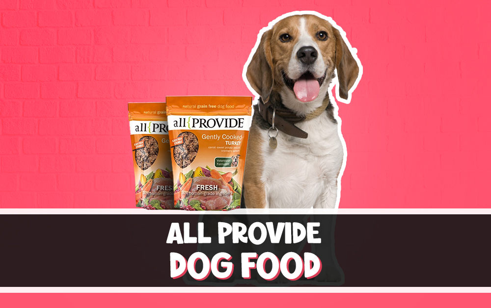 Allprovide Dog Food