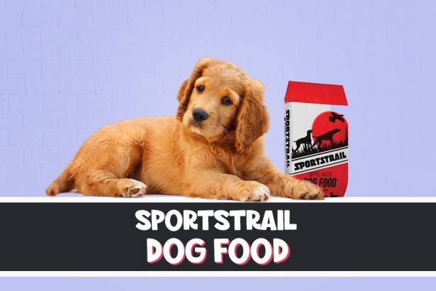 SportStrail Dog Food review