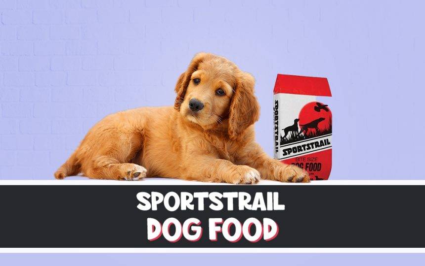 SportStrail Dog Food review