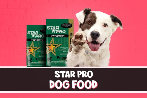 Star Pro Dog Food
