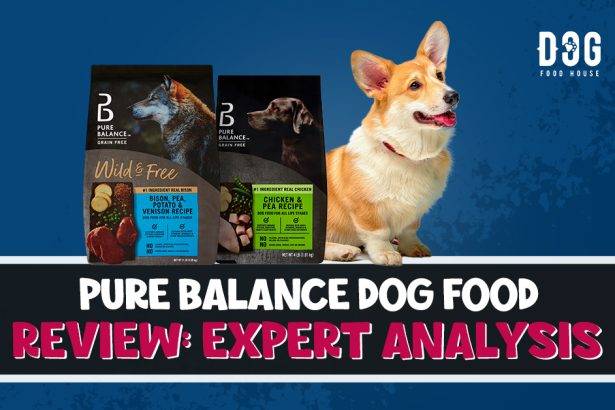 Pure-Balance-Dog-Food-Review-Expert-Analysis