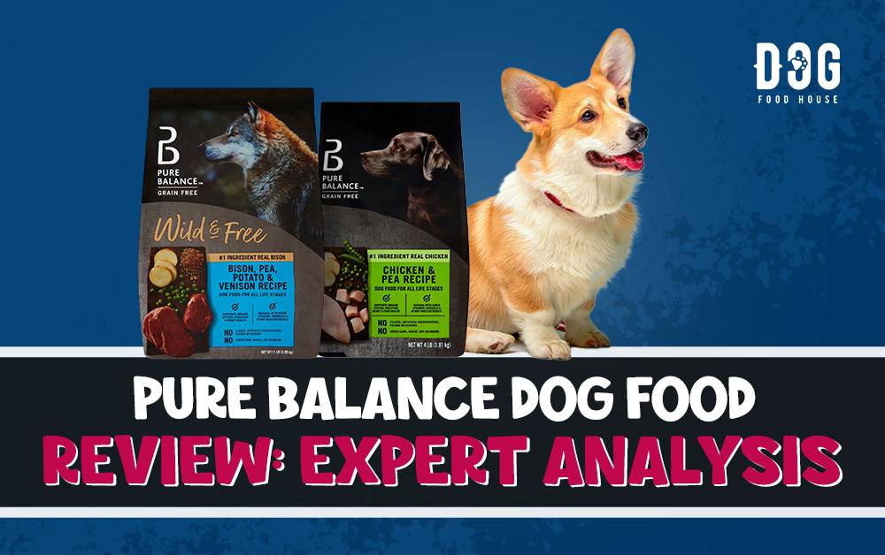 Pure Balance Dog Food Review 2024