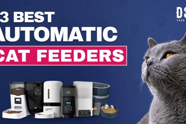 best automatic cat feeders