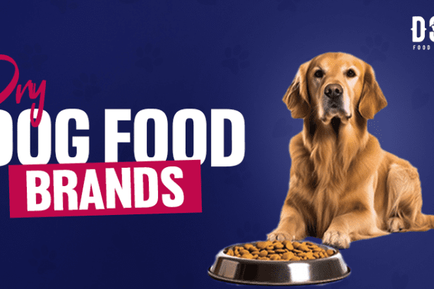 best dry dog food brands