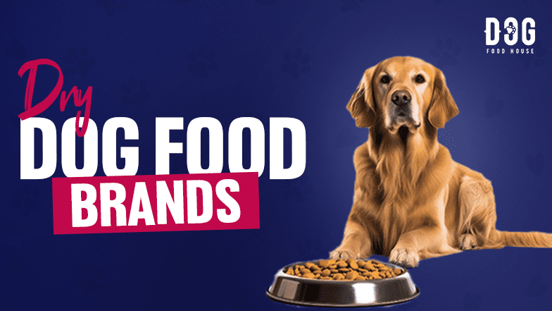 best dry dog food brands