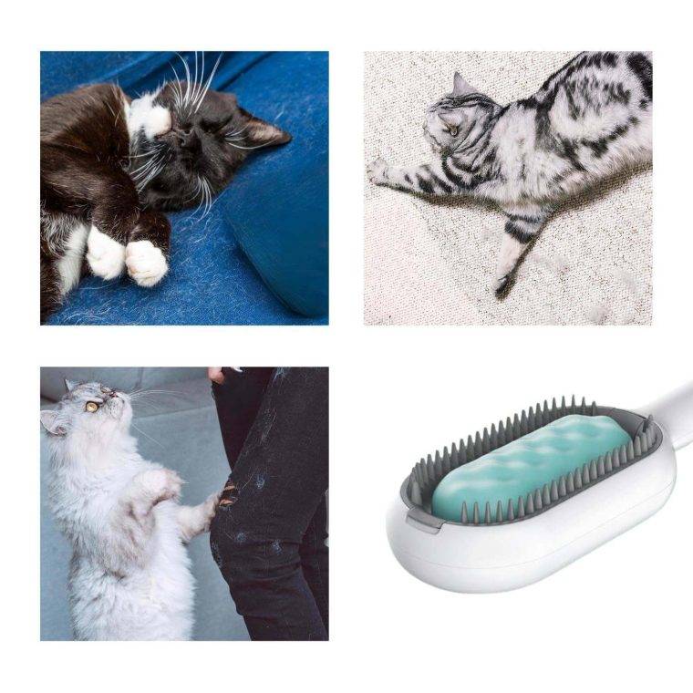 2 In-1 Cat Grooming Sticky Brush With Water Tank - Image 6