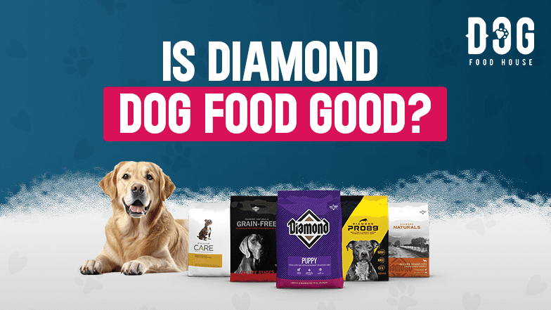 is diamond dog food good. Diamond dog food review