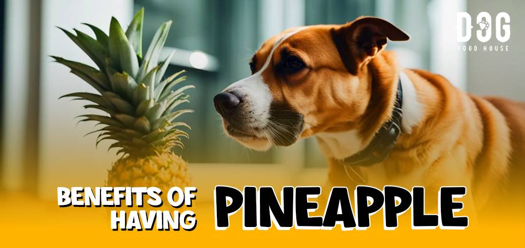 Benefits of having pineapple