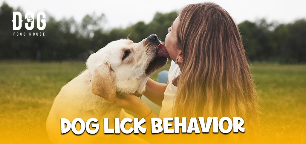 Dog Lick Behavior