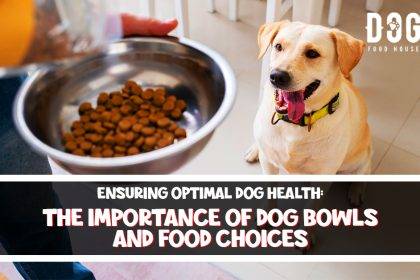 The Importance of Dog Bowls and Food Choices