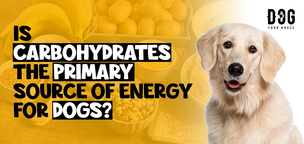 Is carbohydrates the primary source of energy for dogs