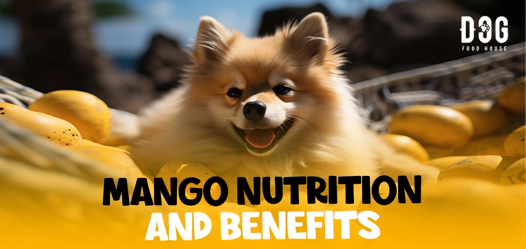 Mango Nutrition and Benefits