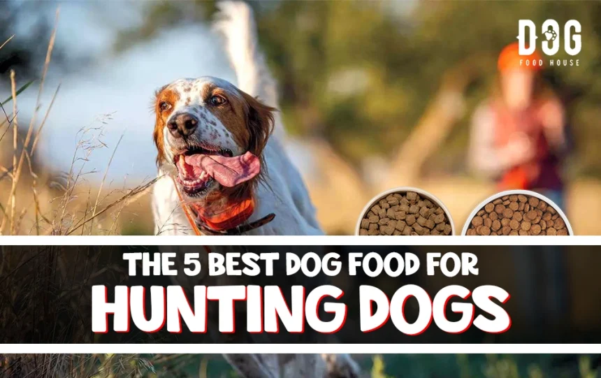 The 5 Best Dog Food for Hunting Dogs