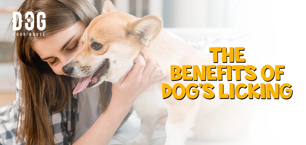 The Benefits of Dog’s Licking