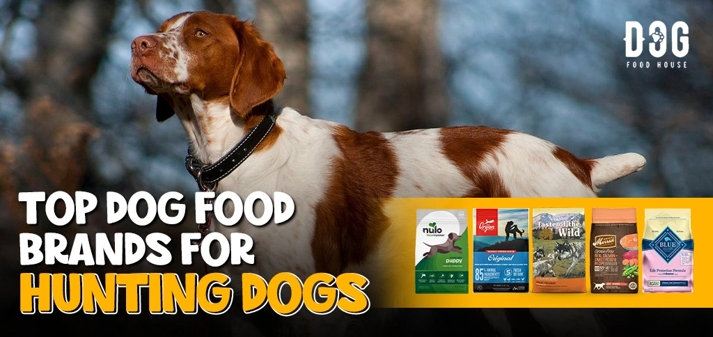 Top Dog Food Brands for Hunting Dogs