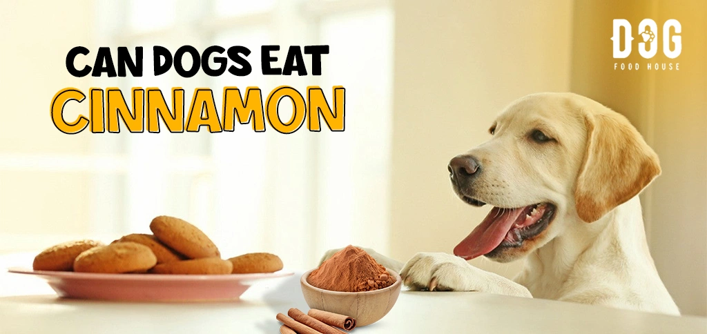 Can Dogs Eat Cinnamon?