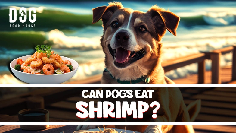 Can Dogs Eat Shrimp