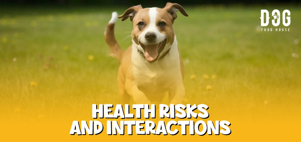 Health Risks and Interactions