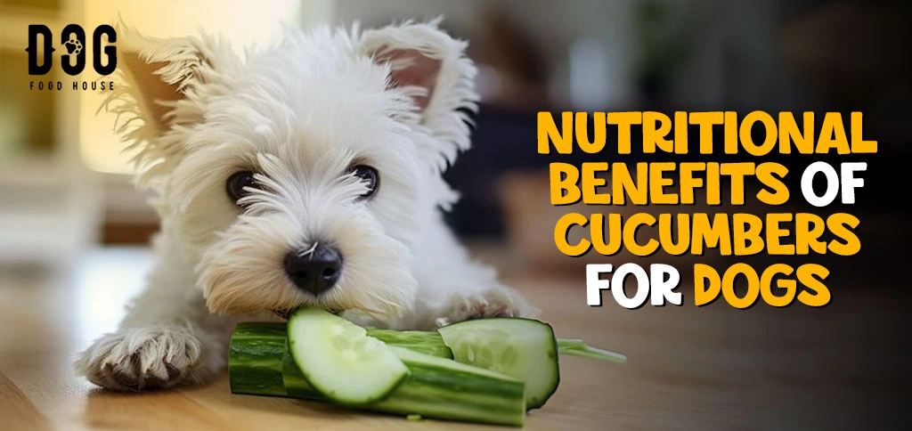 Nutritional Benefits of Cucumbers for Dogs