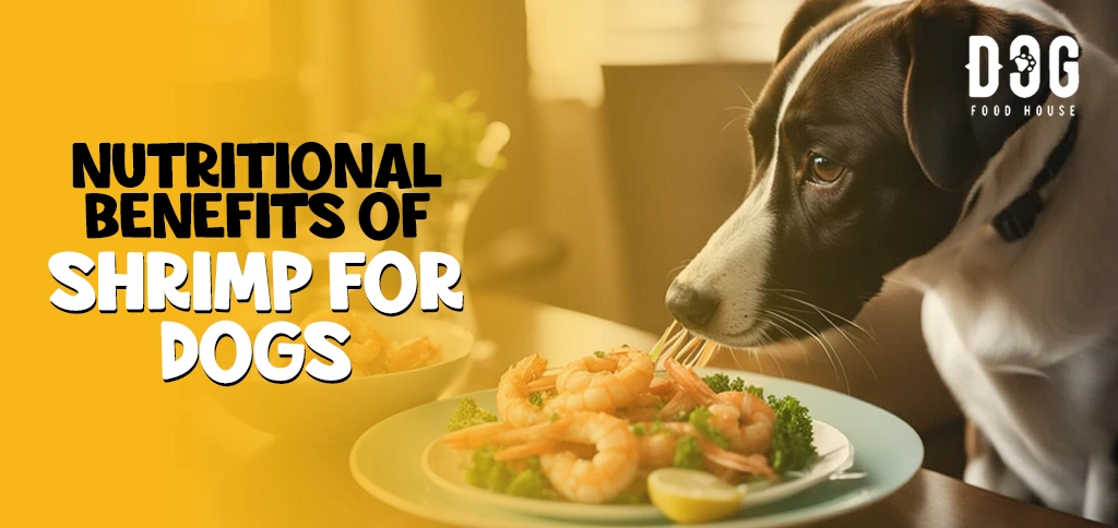 Nutritional Benefits of Shrimp for Dogs