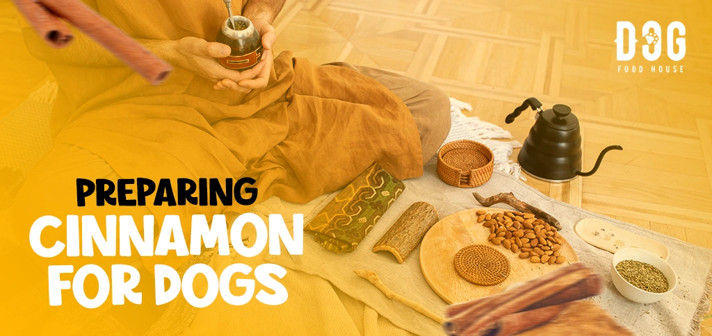 Preparing Cinnamon for Dogs