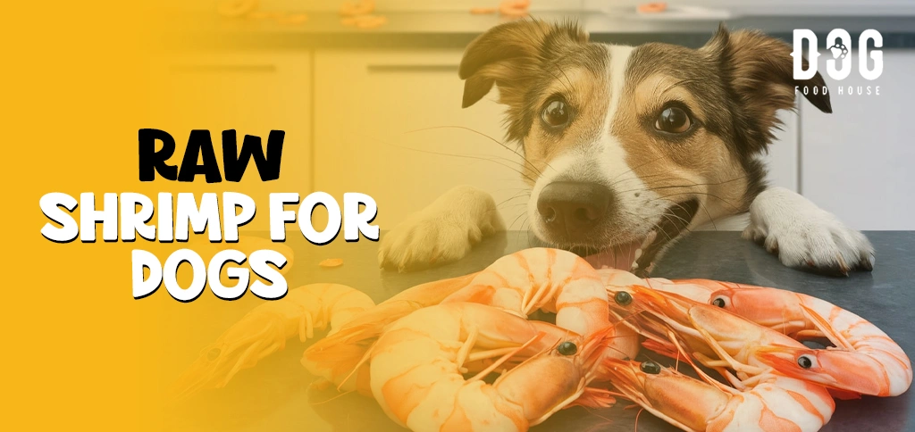 Raw Shrimp for Dogs