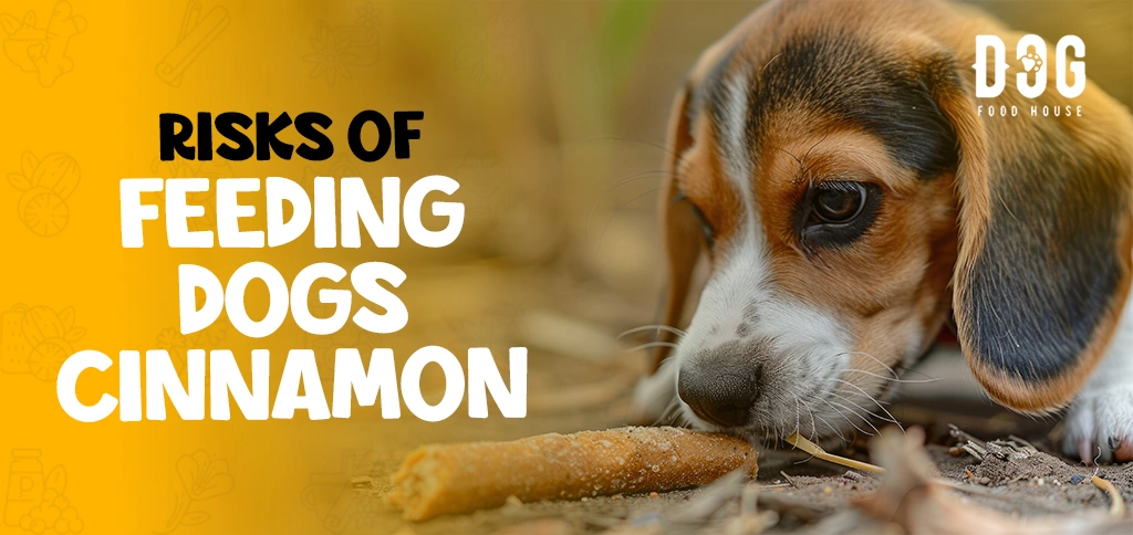 Risks of Feeding Dogs Cinnamon