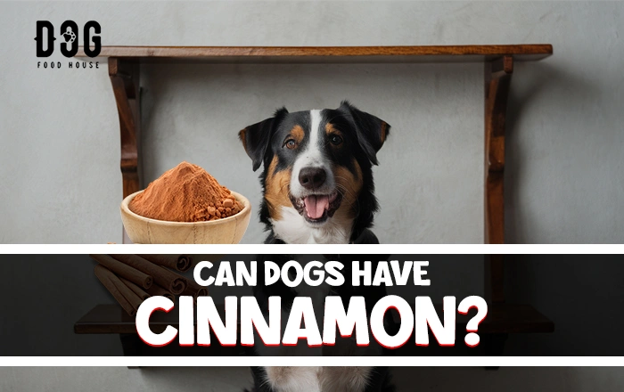 can dogs have cinnamon